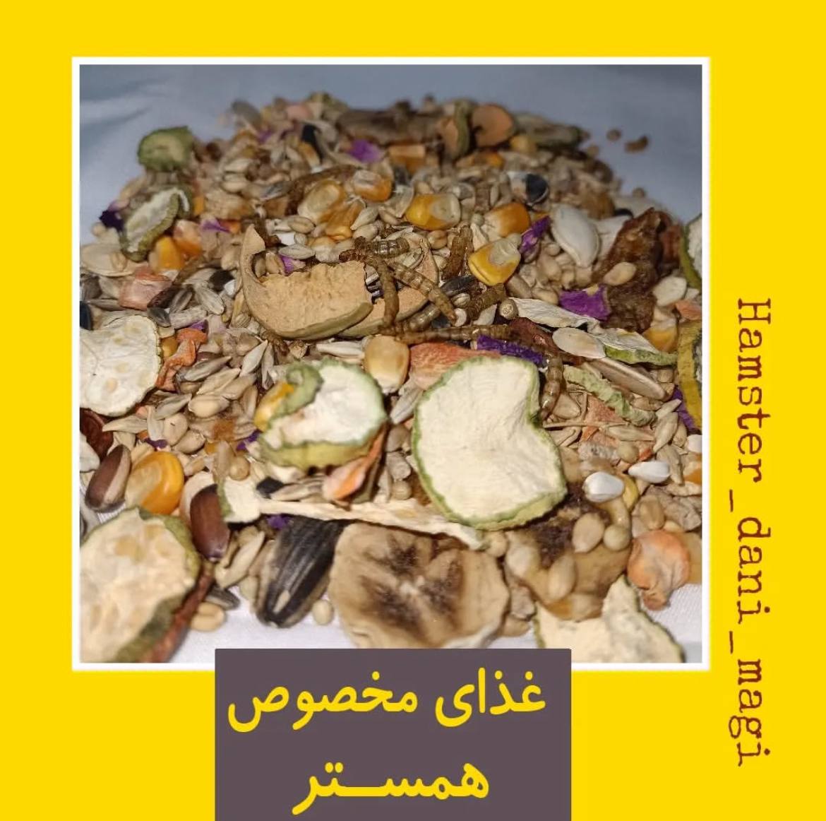 غذای آجیلی همستر